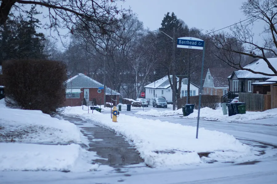 A suburban residential street after snowfall: ploughed roadway, snowbanks on the verges, a yellow fire hydrant and bins at the kerb under bare trees